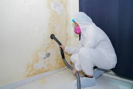 Best Forensic Mold Investigation  in Pahoa, HI